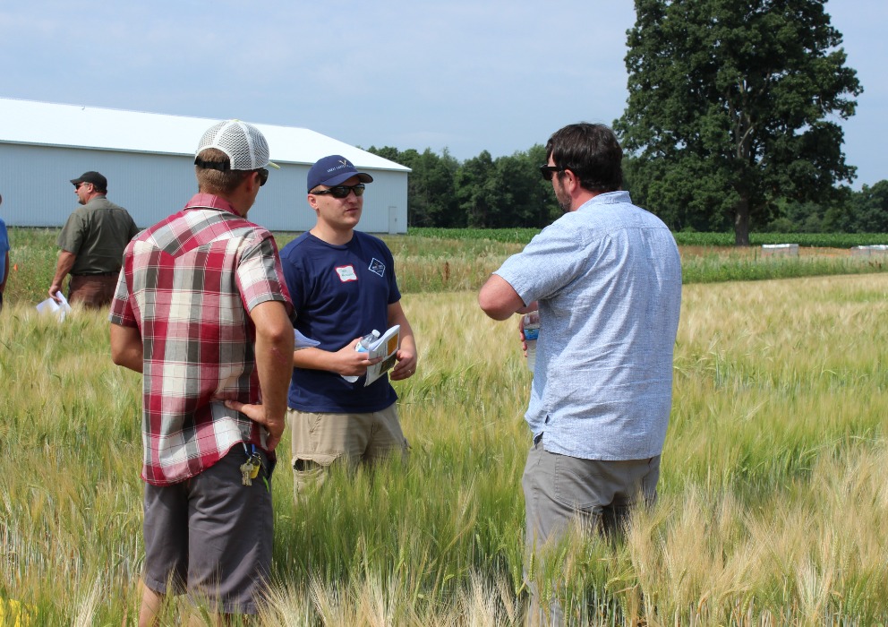 AMBA members direct additional support to bolster barley research efforts