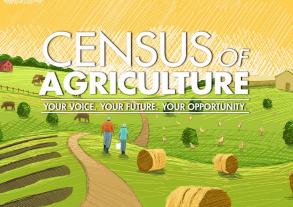 Data from 2022 Ag Census now available - barley crop valued at over $1 ...