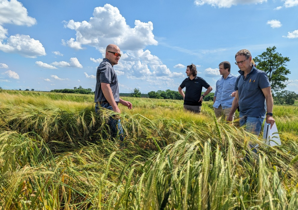 Sustainability Task Force formalized as a standing committee of the American Malting Barley Association