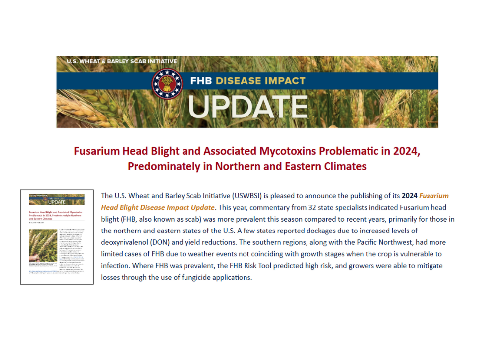 2024 Fusarium Head Blight Disease Impact Update