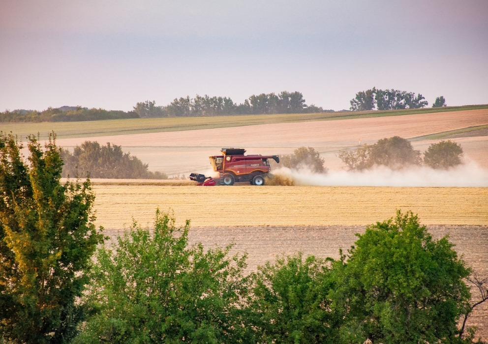 Final reports available for 2024 barley crop