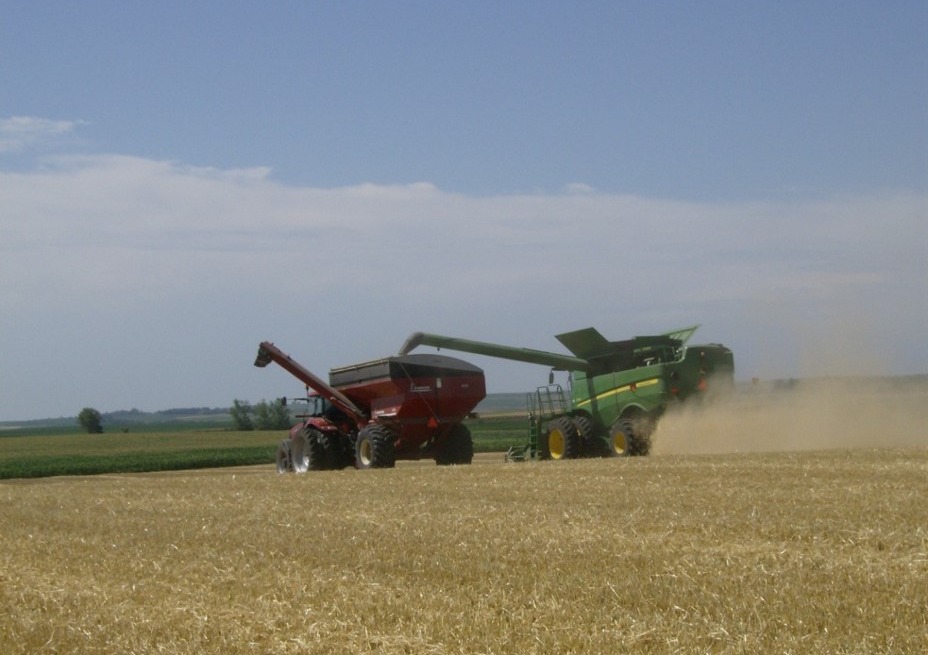 September 2026 Small Grains Summary and Stocks Report